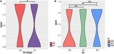 A multi-omics machine learning framework in predicting the recurrence and metastasis of patients with pancreatic adenocarcinoma